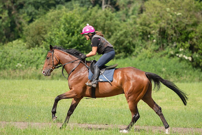 Gallops at Michael Blake Racing