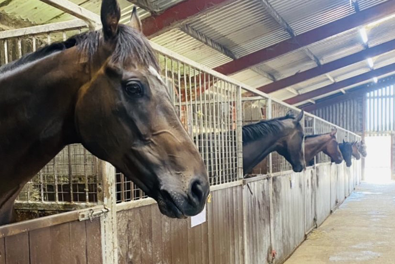 American Barn at Michael Blake Racing