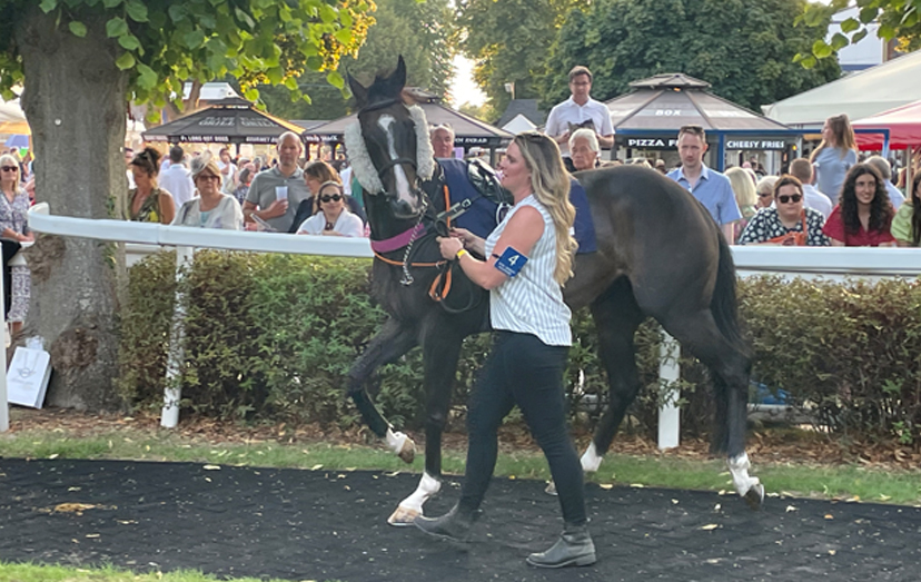 Freedom and Wheat at Windsor August 2022