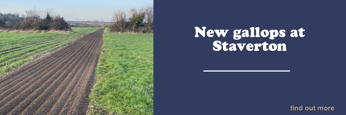 New gallops at Staverton