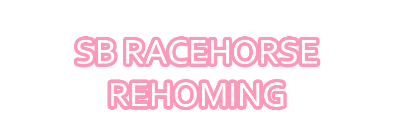 SH Racehorse Rehoming logo