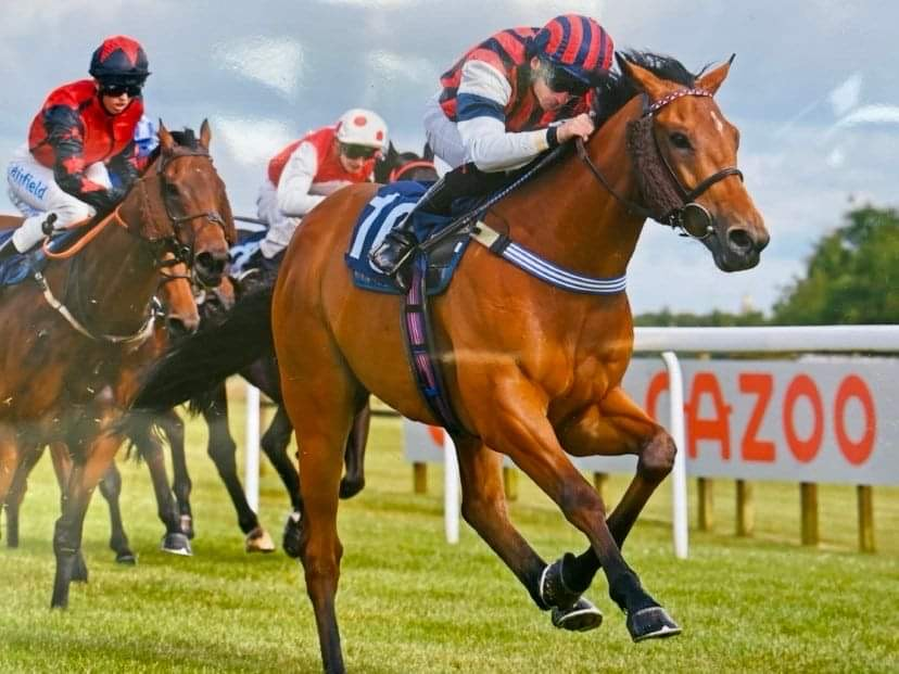 We're Reunited winner at Bath Races June 2022